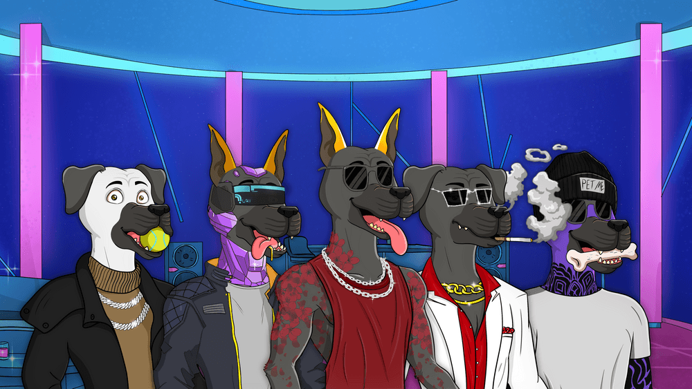 Party Dog - Social Club