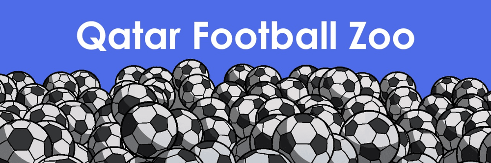 QatarFootballZoo