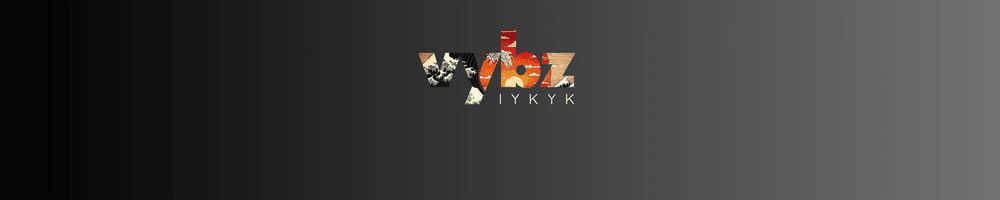 Zaibatsu Vybz