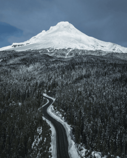 Winter's Chase
