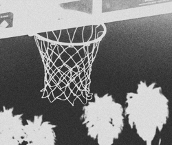 Taking Shots Vol.1