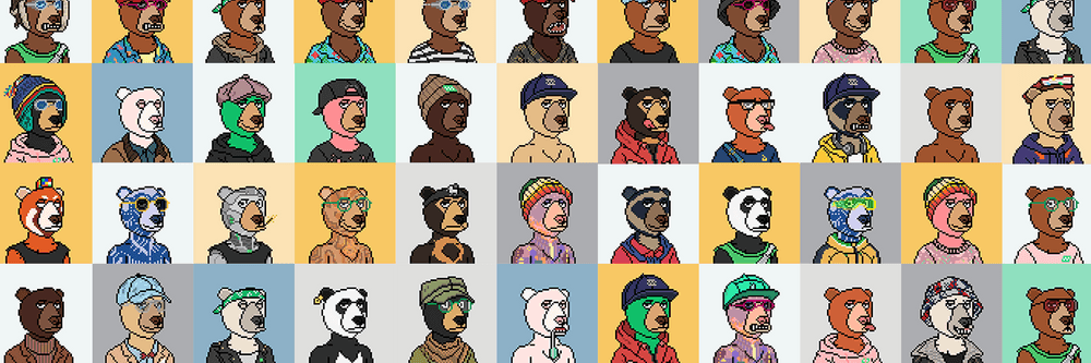 NokayBears