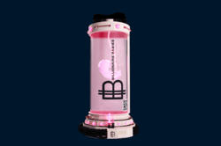 BB-Incubator
