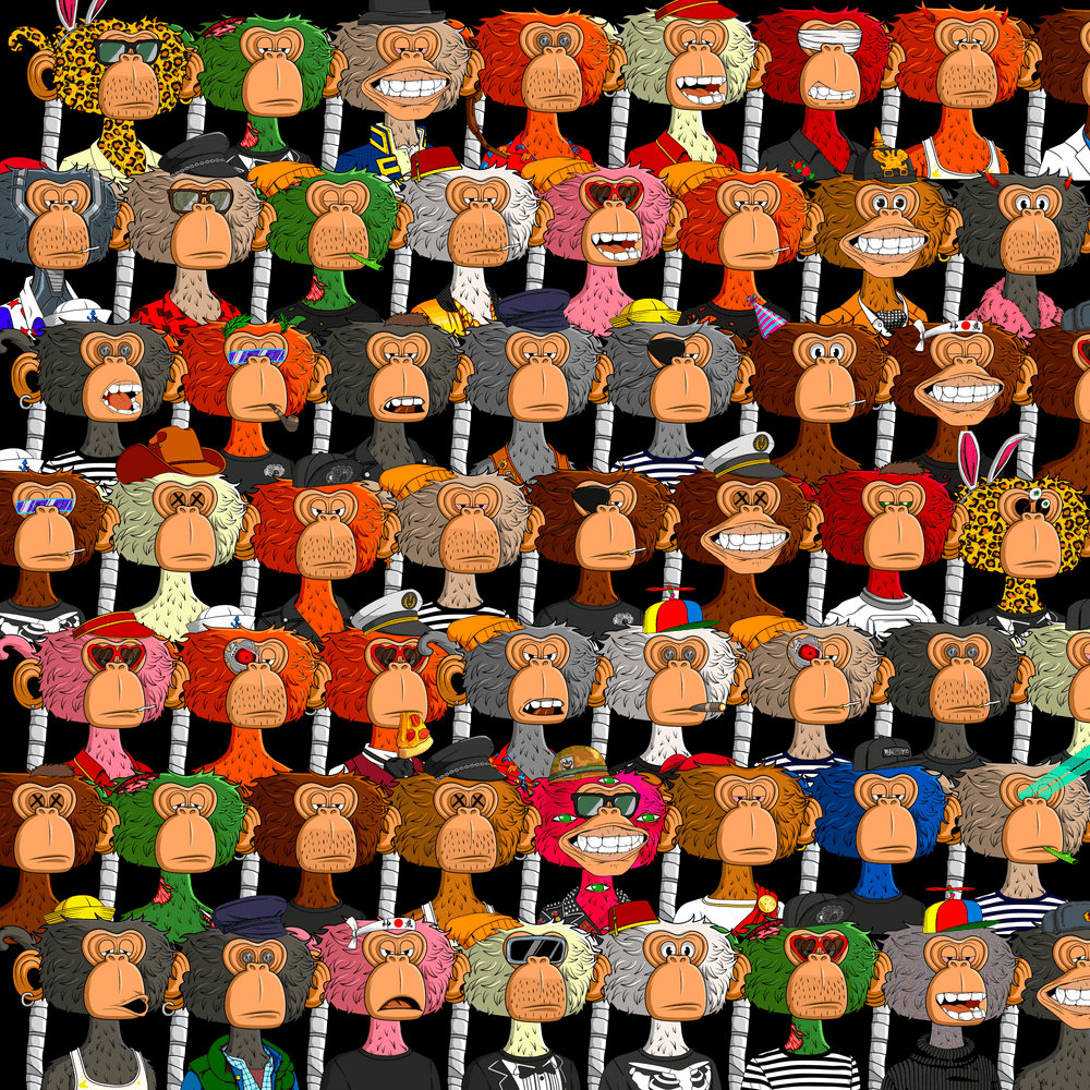 The Bored Jimmy YC