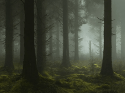 The Unknown - by Neil Burnell