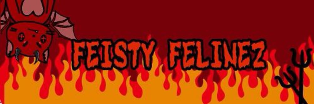 FeistyFelinez