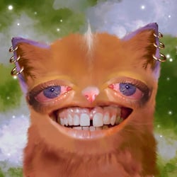 The Cursed Cats