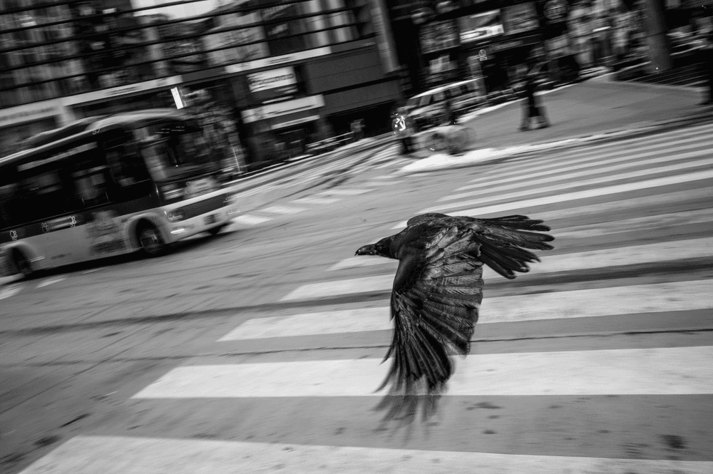 Crow Variations