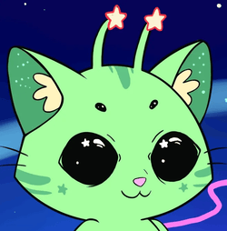 Lofi Kitties