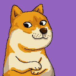 Bold Doges