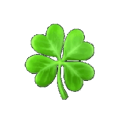 Lucky 777s
