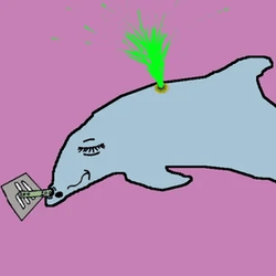 Dolphin Town