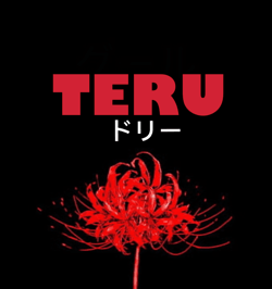 Teru Labs