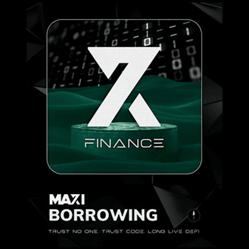 X7 Borrowing Maxi # 18