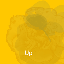UP Project