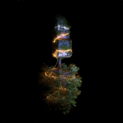 The Upside Down V2