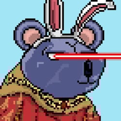 Coolkoalaclub