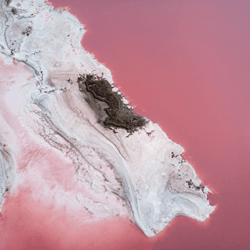 At the Pink planet