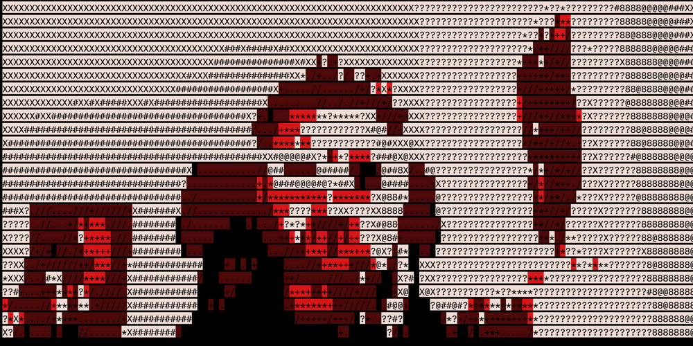 Coded Selfies