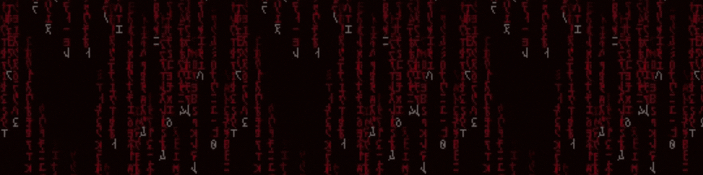 (1N)F3RN4L 0RD_1N4LS
