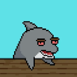 Flipper-Flipper