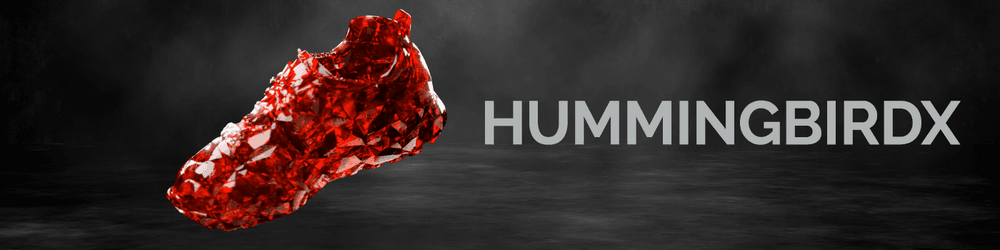 HummingbirdX Ruby