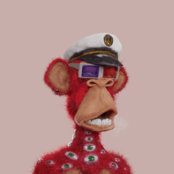 Creations - n6zqaOp4tO