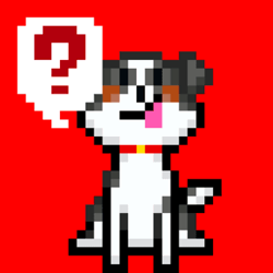 KaiKiKi