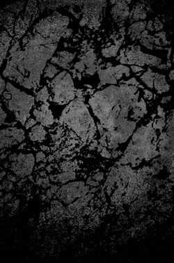 Formless 2011