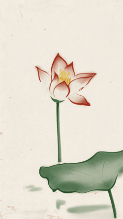 Lotus In Water