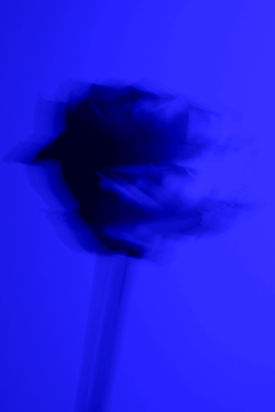 [m e t a n o i a]