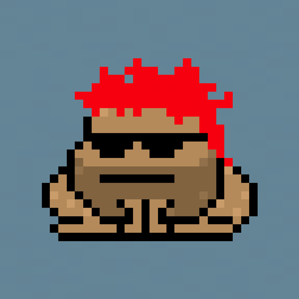 Toad Punks #5305