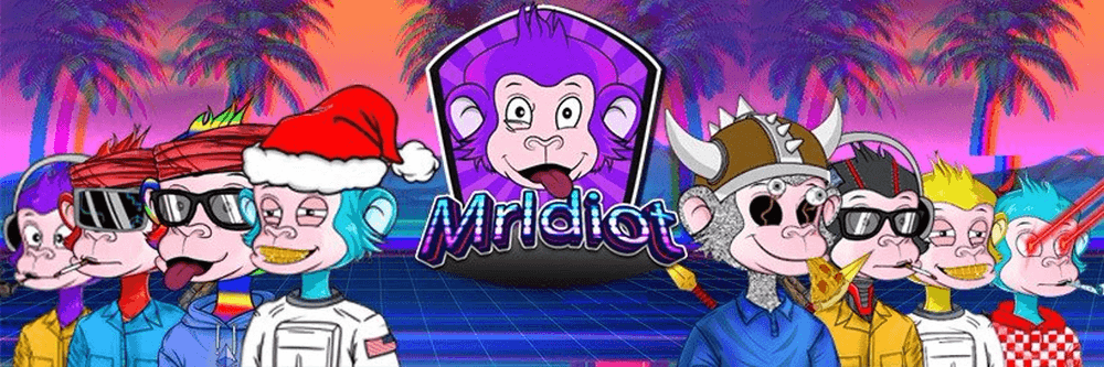 Mr Idiot Fun Club