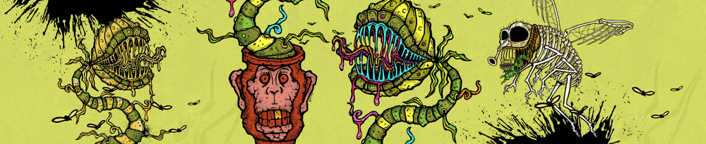 Funky Fly Traps Official