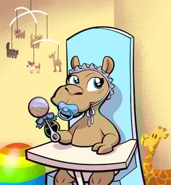 Baby Camels Season 1