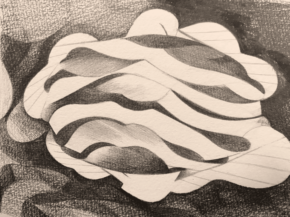 Form Vision
