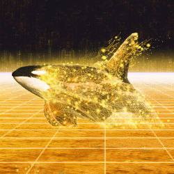 Whales Worldwide 2022