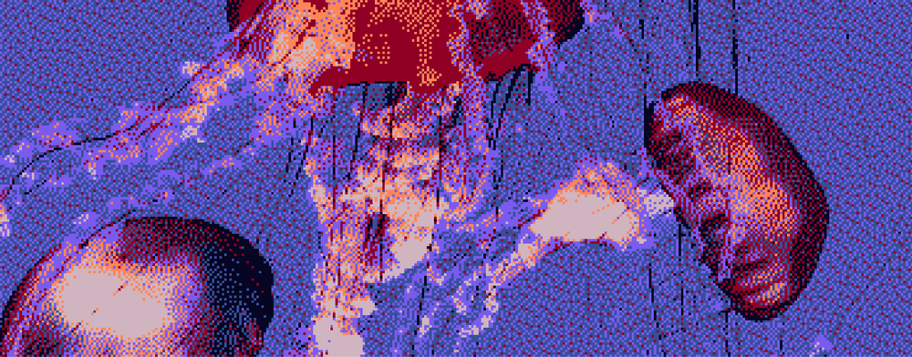 transcendent bloom