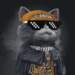 ChronoCatzCC