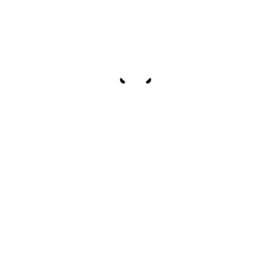 SNOBPASS BY SNOBS