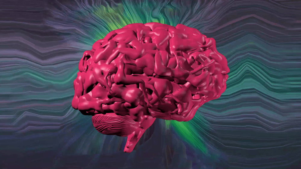 Sex Brain #329/368