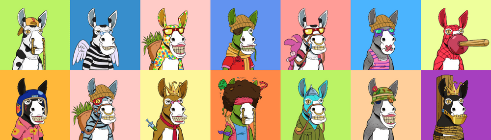 Bored Donkey Yacht Club BDYC