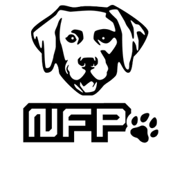 NFPets by Daz 3D
