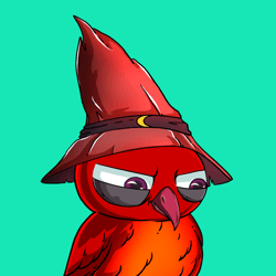 Wizard Owls