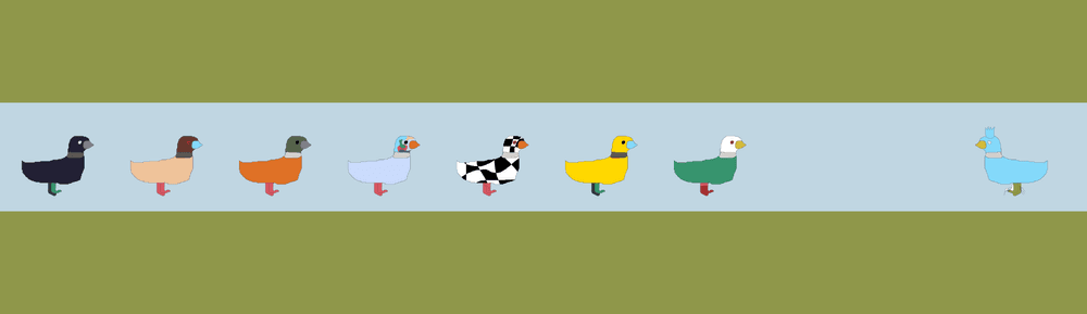 Duck Race