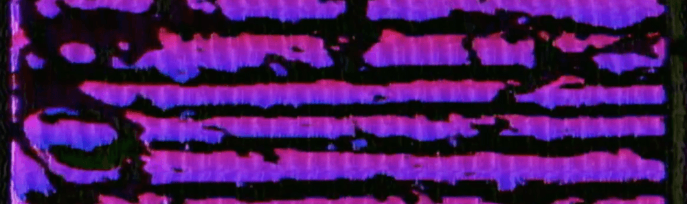 Mycelium Fidelity