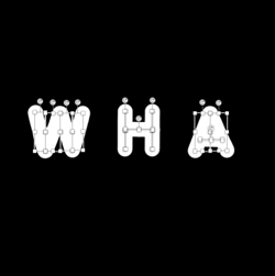 I AM HODLING by WHA