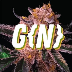 Genetics {NFT}