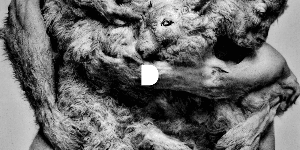 Fluxus by Inigo Bilbao