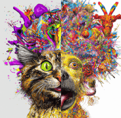 Kitties & Doges by MDMA